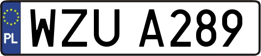 WZUA289