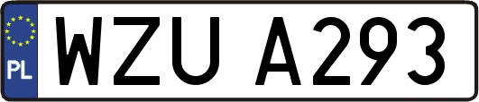 WZUA293