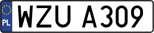 WZUA309