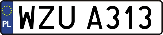 WZUA313