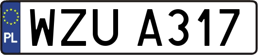 WZUA317