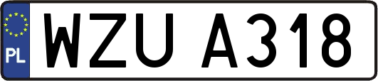WZUA318