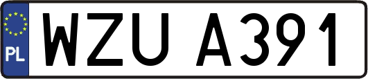 WZUA391