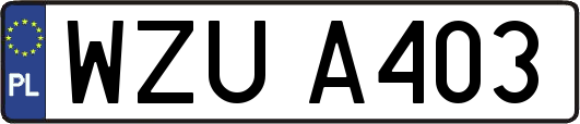 WZUA403
