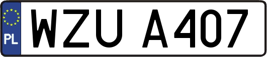 WZUA407