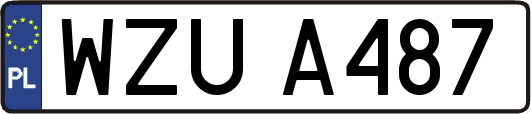 WZUA487