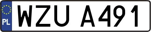 WZUA491