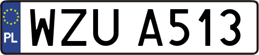 WZUA513