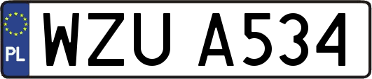 WZUA534
