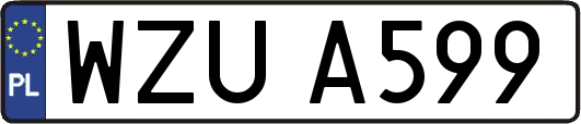 WZUA599