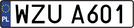 WZUA601