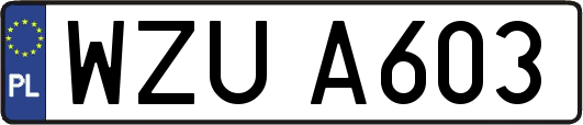WZUA603