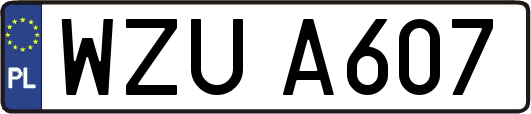 WZUA607