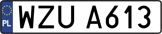 WZUA613