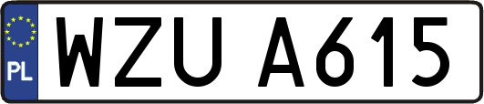 WZUA615