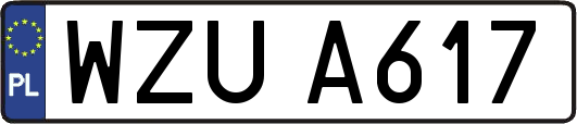 WZUA617
