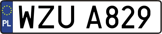 WZUA829