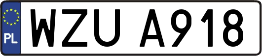 WZUA918