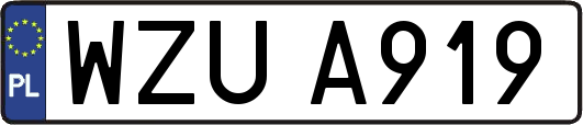 WZUA919
