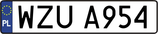 WZUA954