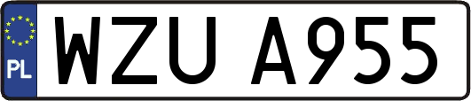 WZUA955