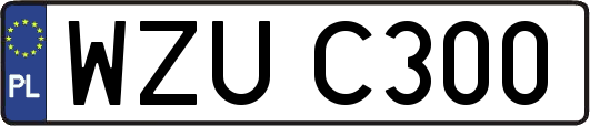 WZUC300