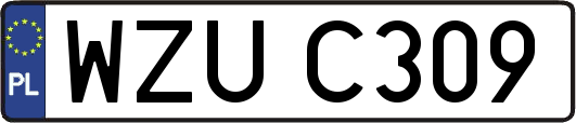WZUC309