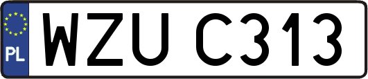 WZUC313