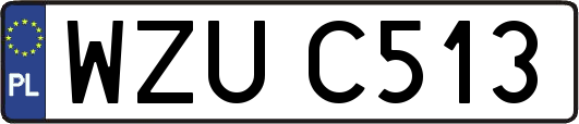 WZUC513