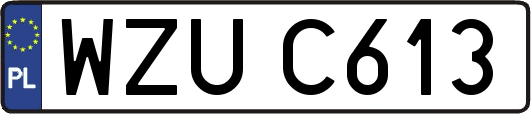WZUC613