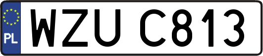 WZUC813