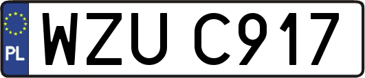 WZUC917
