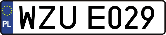 WZUE029