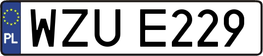 WZUE229
