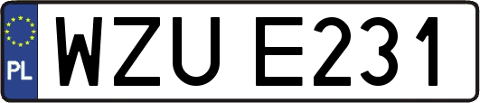 WZUE231