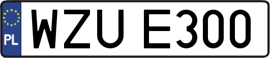 WZUE300