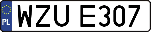 WZUE307