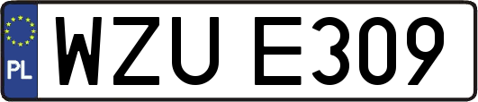 WZUE309