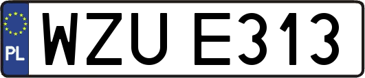 WZUE313