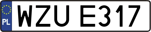 WZUE317