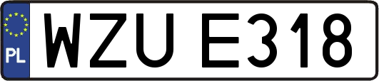 WZUE318