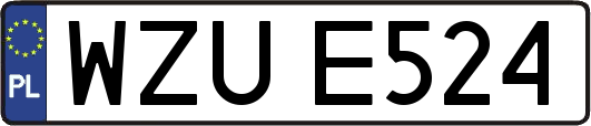 WZUE524