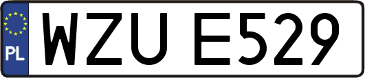 WZUE529