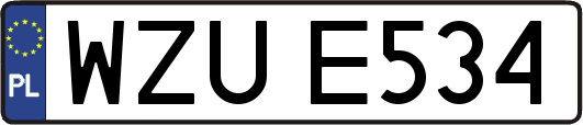 WZUE534