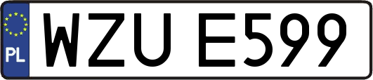 WZUE599
