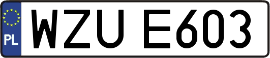 WZUE603