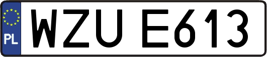 WZUE613