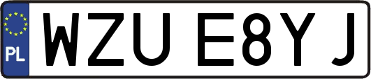 WZUE8YJ