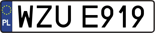 WZUE919