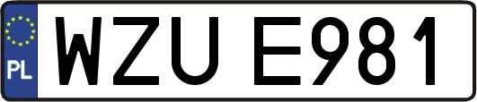 WZUE981